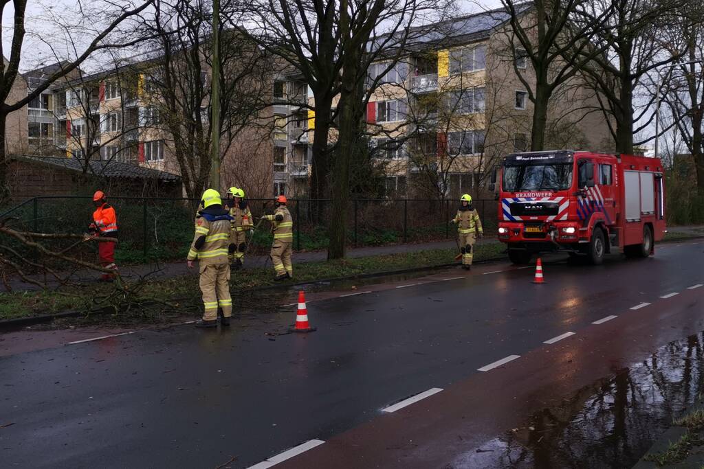Boom valt om over rijbaan