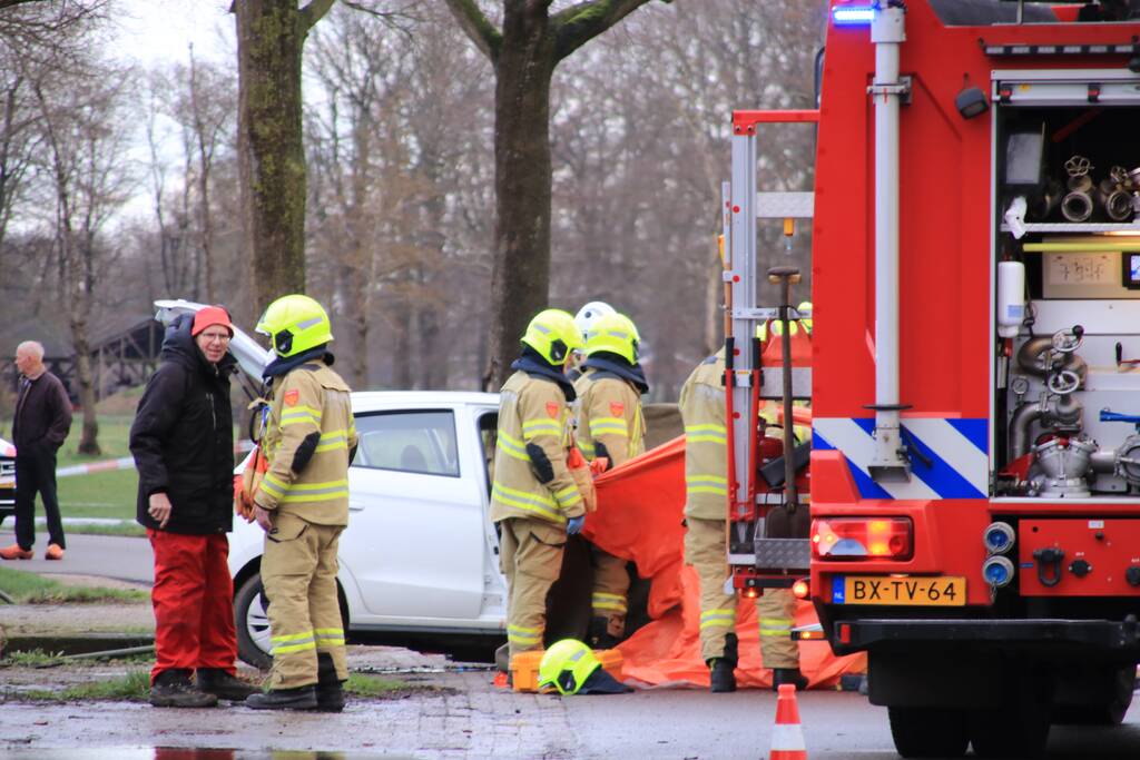 Bestuurder omgekomen na frontale botsing tegen boom