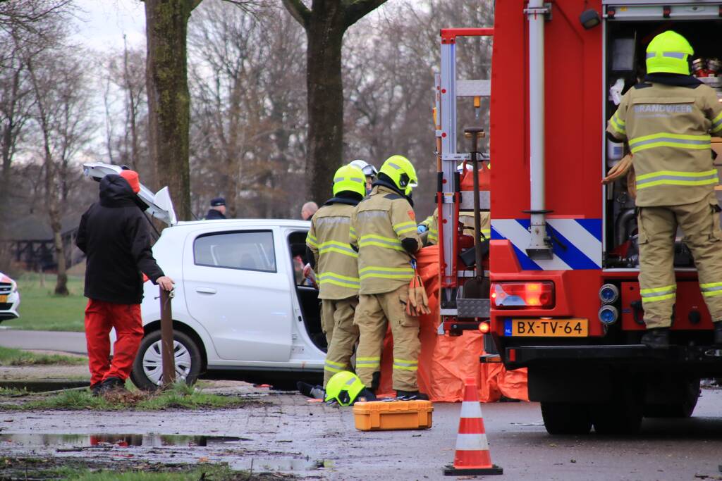 Bestuurder omgekomen na frontale botsing tegen boom