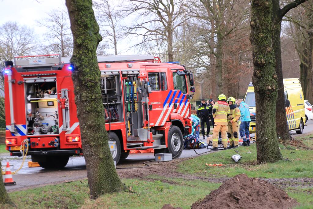 Bestuurder omgekomen na frontale botsing tegen boom