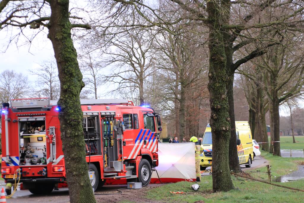 Bestuurder omgekomen na frontale botsing tegen boom