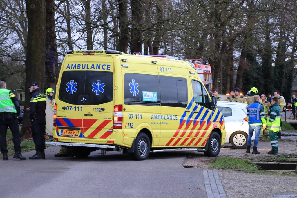Bestuurder omgekomen na frontale botsing tegen boom