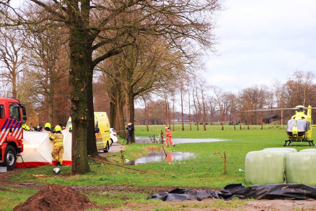 Bestuurder omgekomen na frontale botsing tegen boom