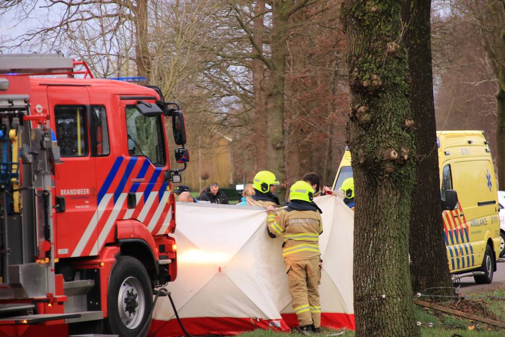 Bestuurder omgekomen na frontale botsing tegen boom