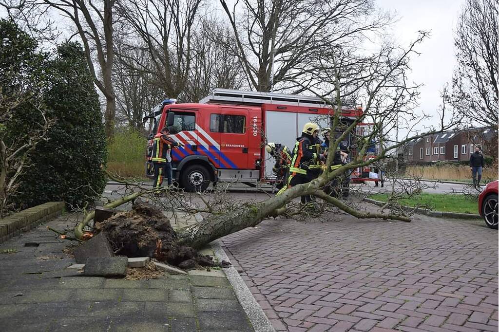 Omgewaaide boom verspert doorgaande weg