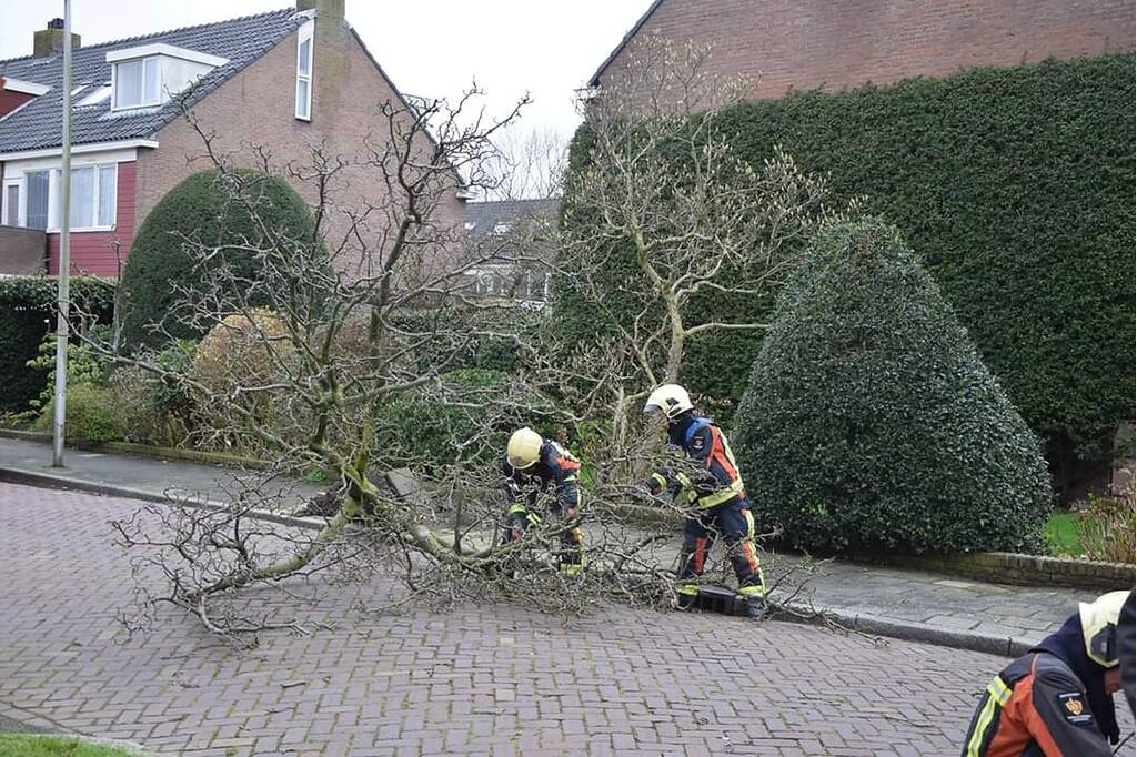 Omgewaaide boom verspert doorgaande weg