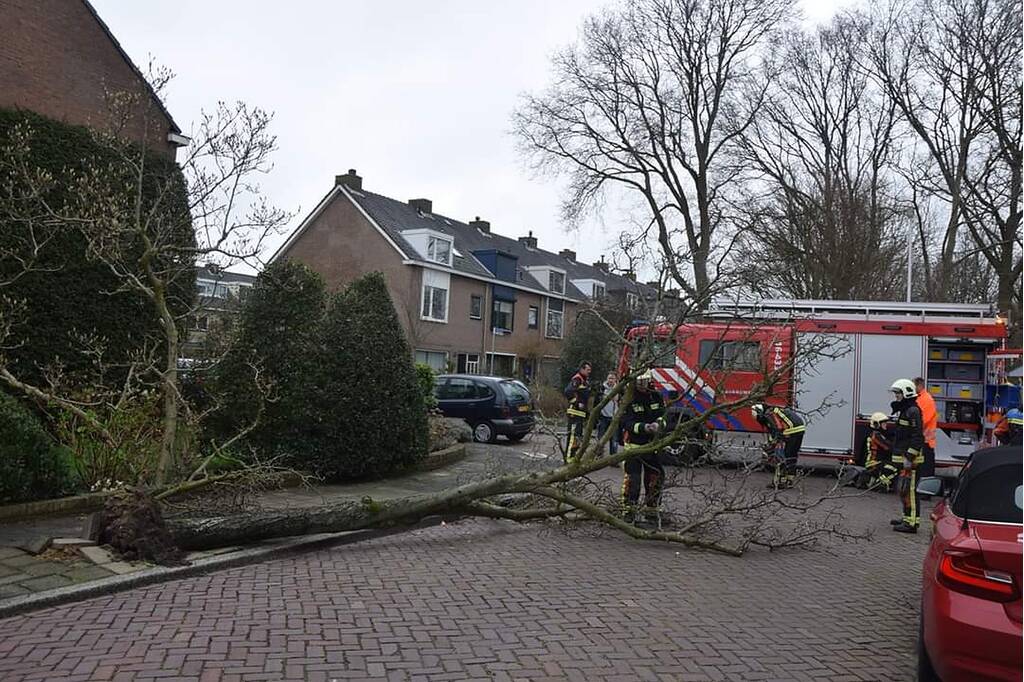 Omgewaaide boom verspert doorgaande weg