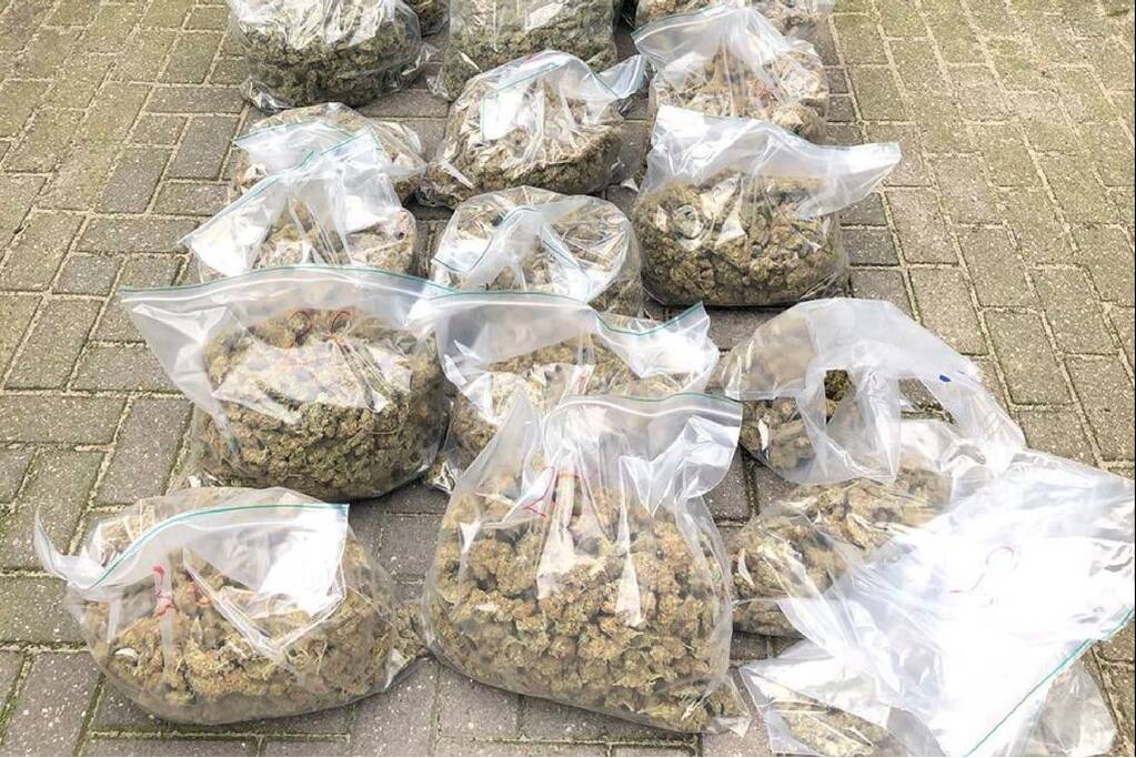 Een ton aan henneptoppen aangetroffen in woning