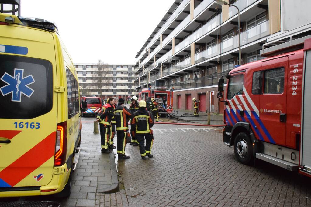 Brand in flatwoning