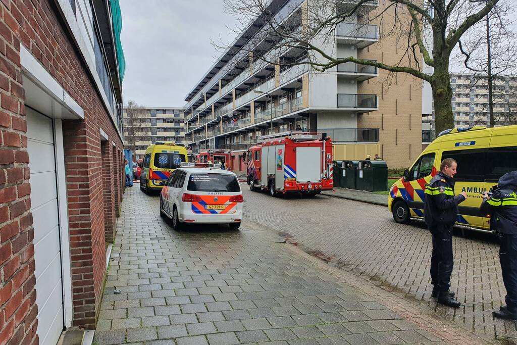 Brand in flatwoning
