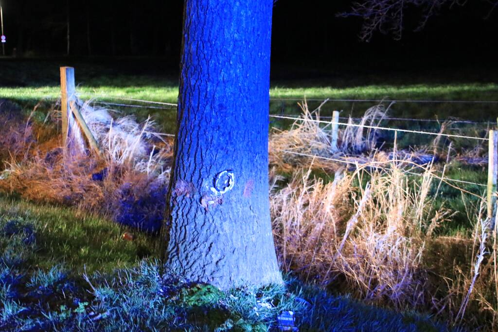 Motorrijder zwaargewond na botsing op bomen
