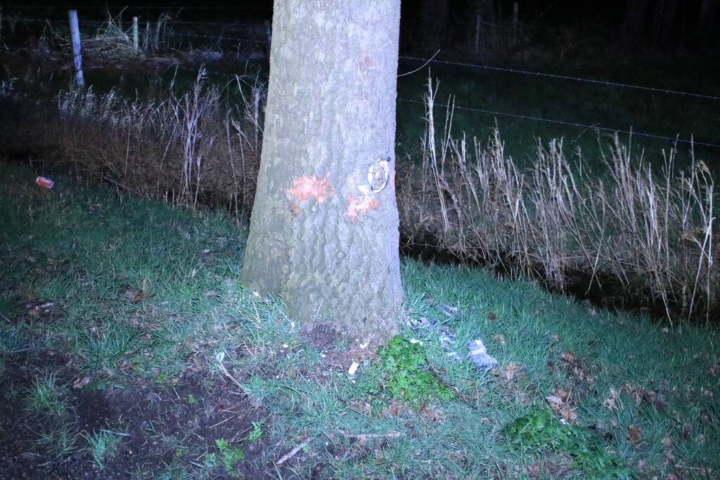 Motorrijder zwaargewond na botsing op bomen