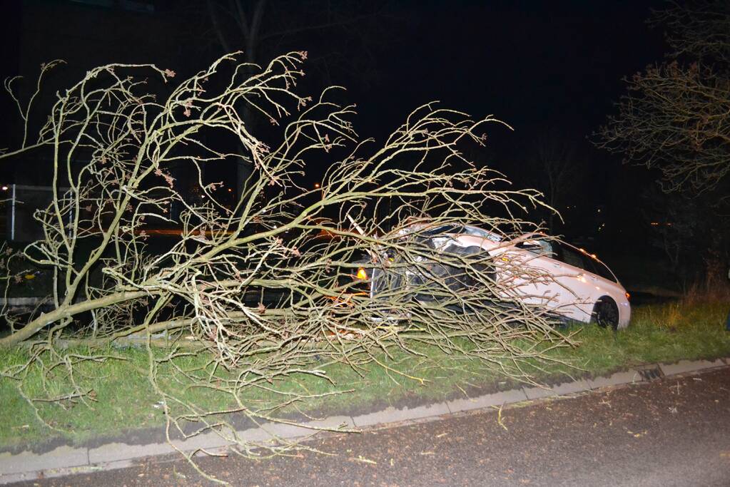 Auto rijdt tegen boom en raakt zwaarbeschadigd