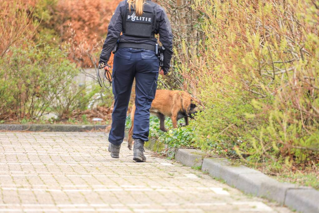 Hond inbreker bijt politiehond bij aanhouding