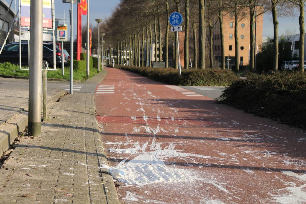Fietspad onder de verf