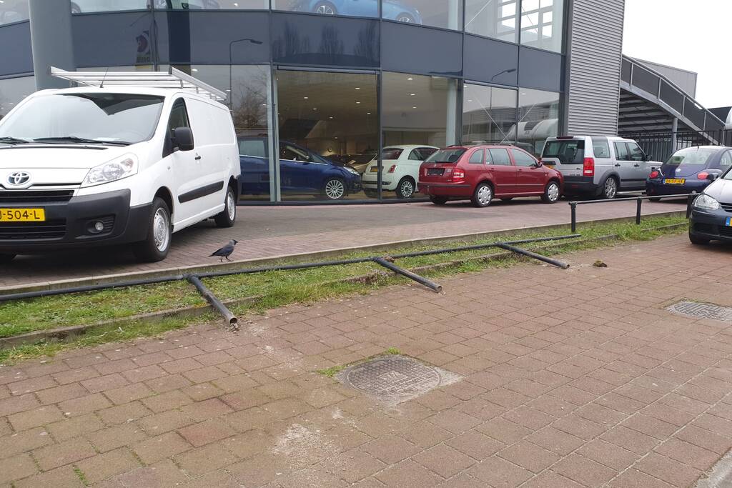 Mercedes Sprinter gestolen bij Autobedrijf Auto Nol
