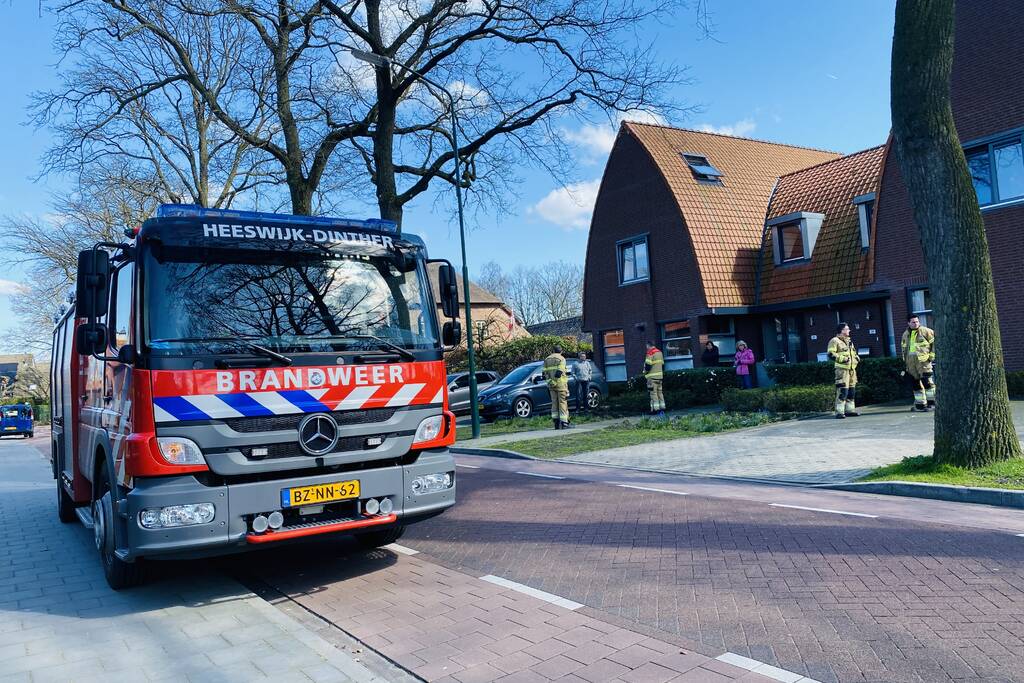 Kat kiest hazenpad na reddingsactie brandweer