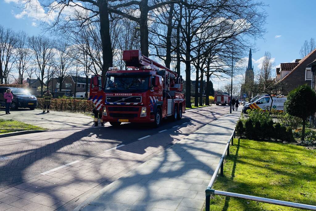 Kat kiest hazenpad na reddingsactie brandweer