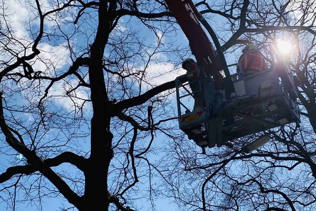 Kat kiest hazenpad na reddingsactie brandweer