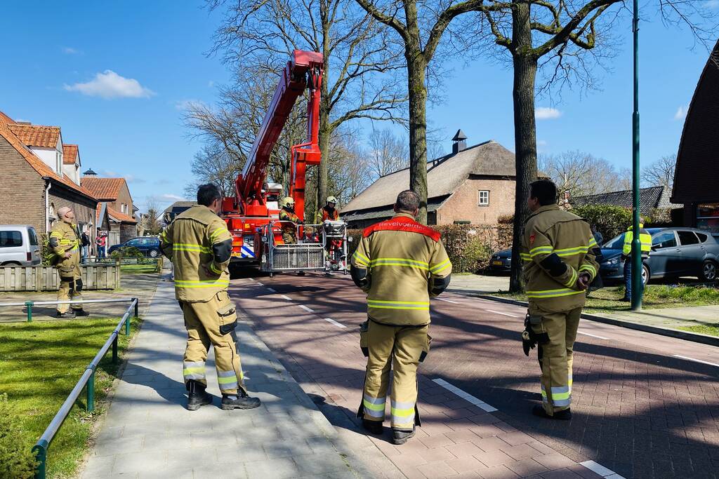 Kat kiest hazenpad na reddingsactie brandweer