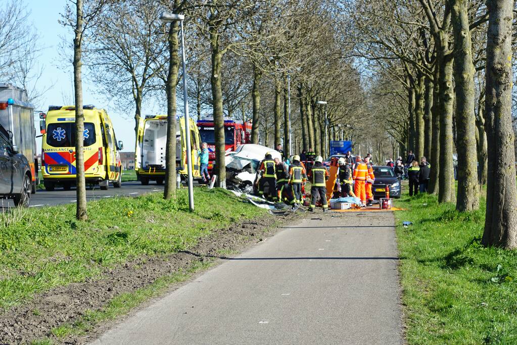 Bestelbus crasht frontaal tegen boom