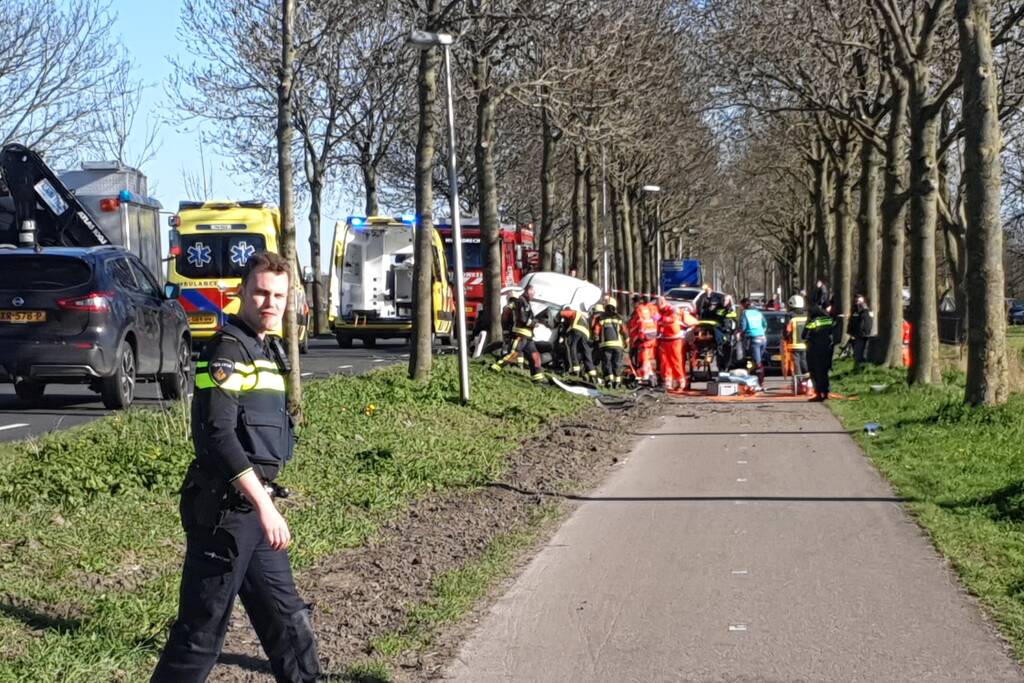 Bestelbus crasht frontaal tegen boom