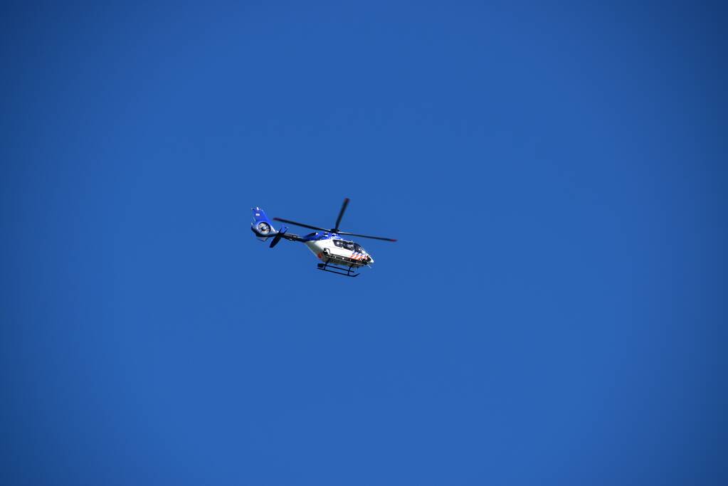 Bestelbus crasht frontaal tegen boom