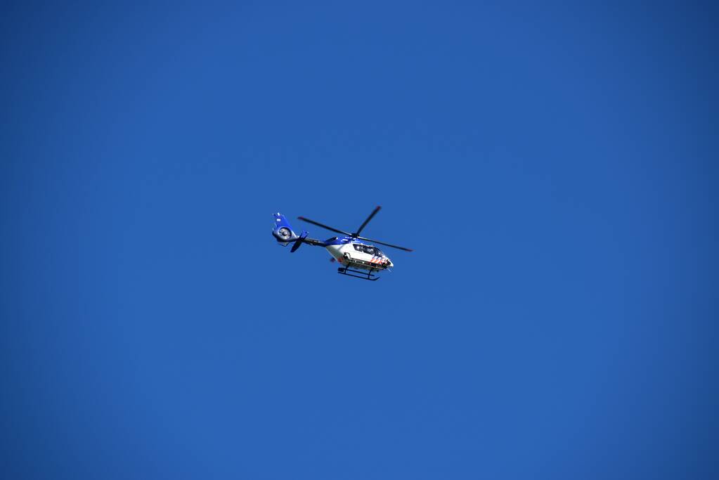 Bestelbus crasht frontaal tegen boom