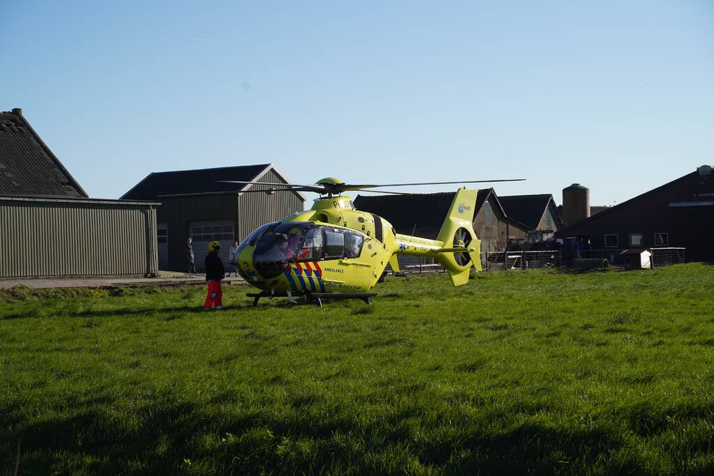 Bestelbus crasht frontaal tegen boom