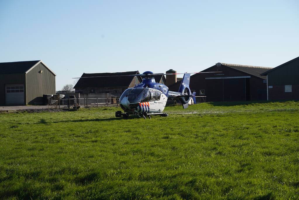 Bestelbus crasht frontaal tegen boom