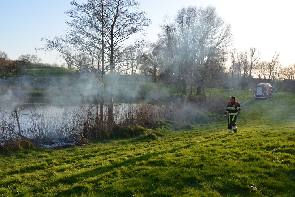 Bosschage in park in brand