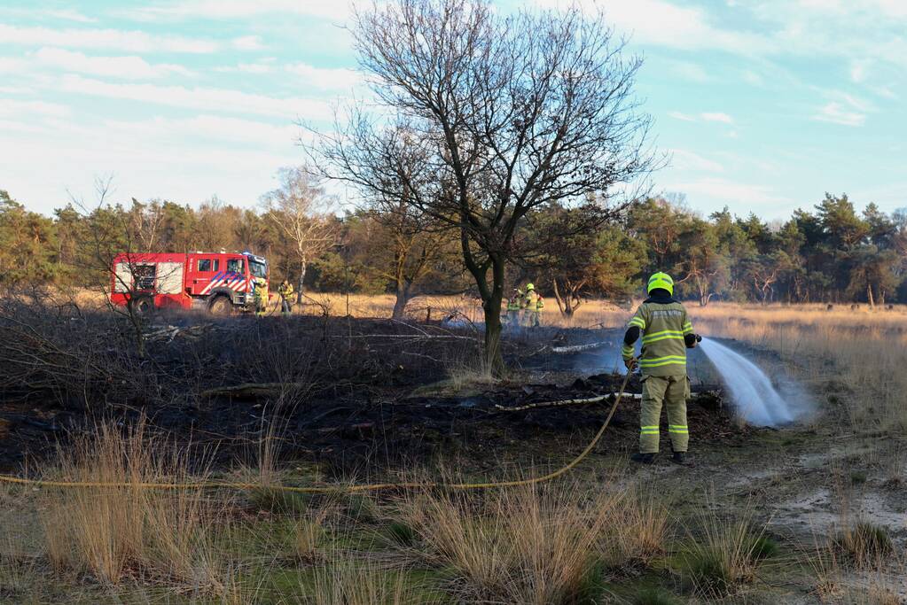 Brand op natuurterrein