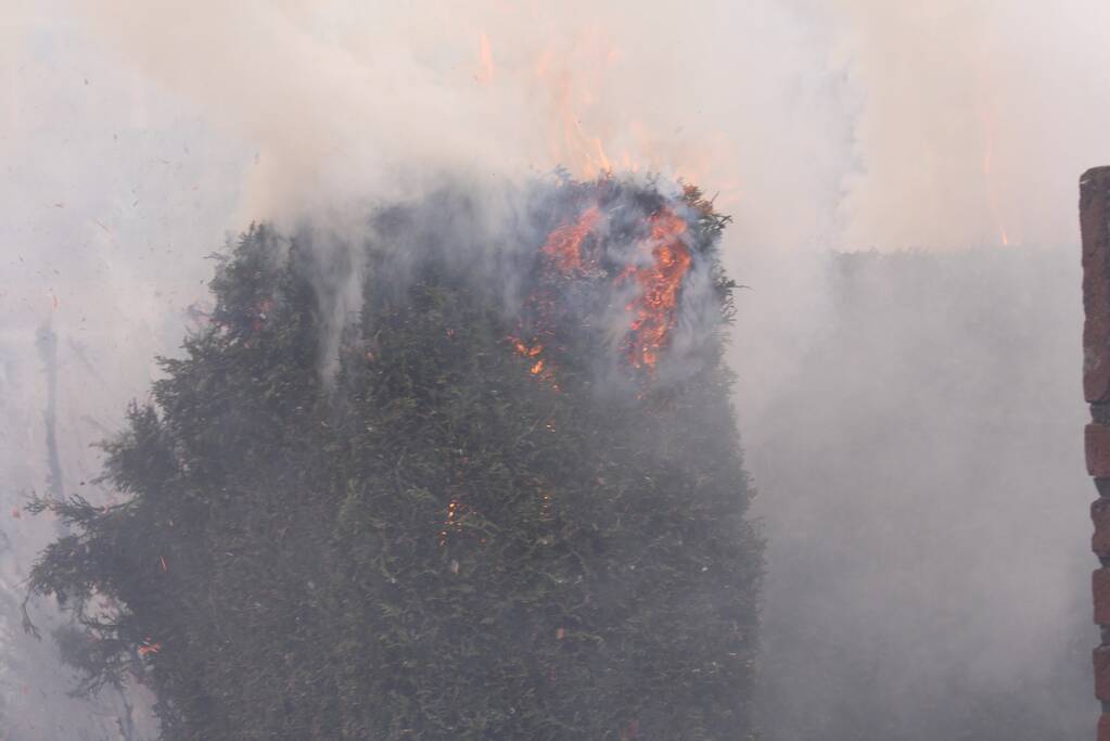 Coniferen bij woning in brand