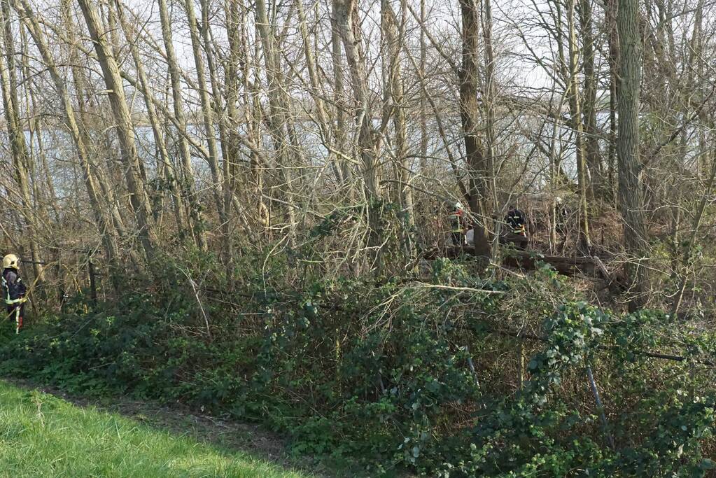 Bosschage langs rivier de Lek in brand