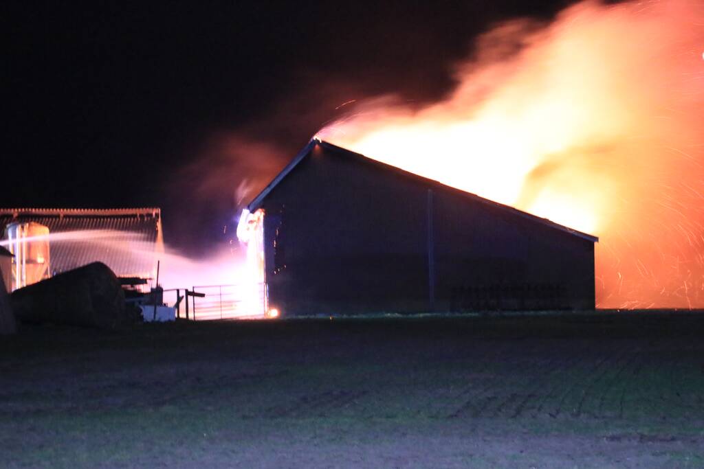 Grote brand in loods varkenshouderij