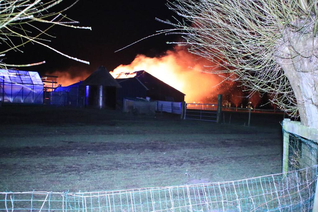 Grote brand in loods varkenshouderij