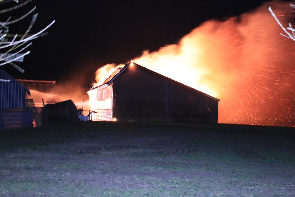 Grote brand in loods varkenshouderij