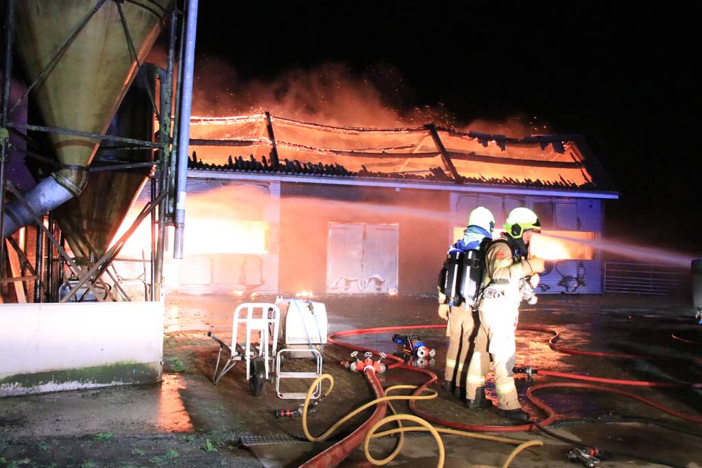 Grote brand in loods varkenshouderij