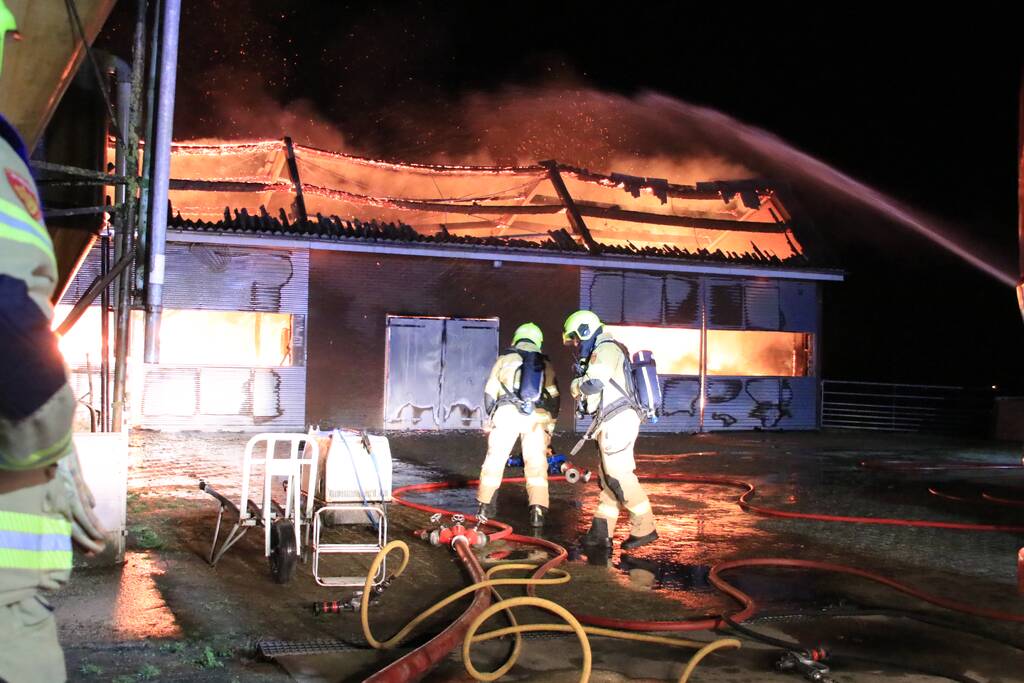 Grote brand in loods varkenshouderij