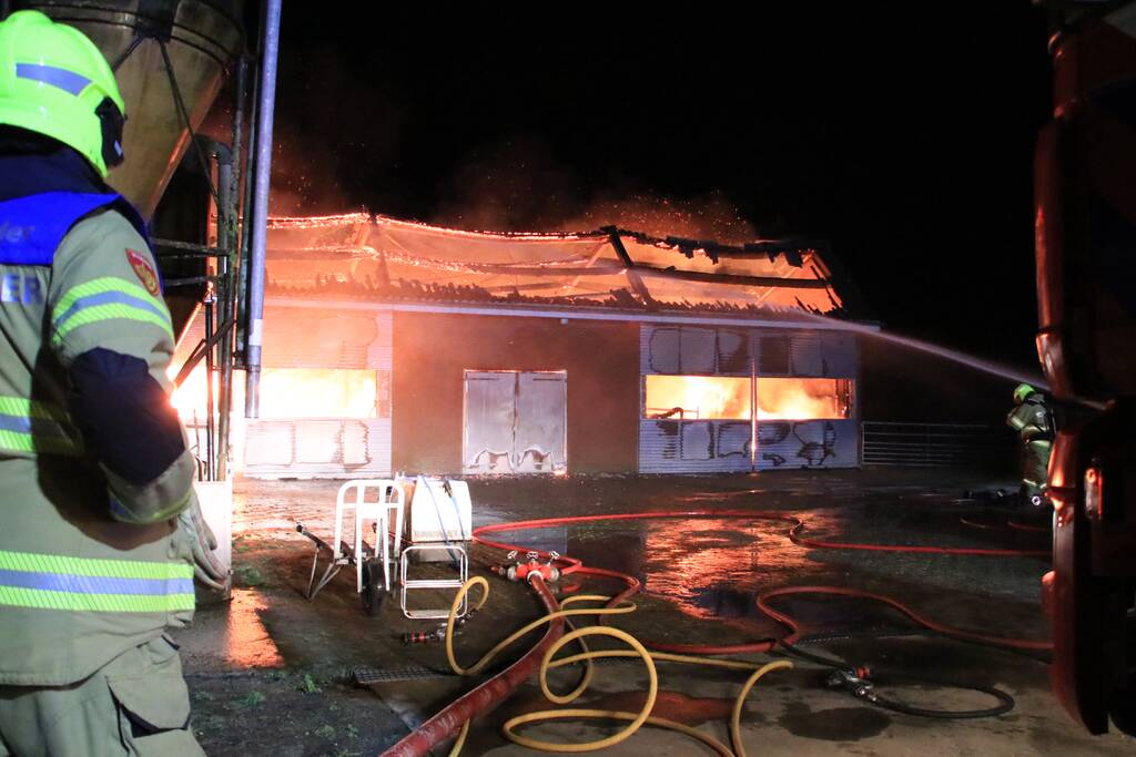 Grote brand in loods varkenshouderij