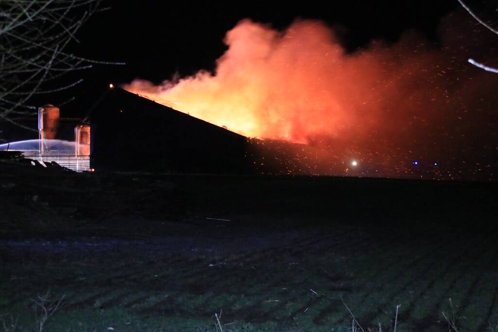 Grote brand in loods varkenshouderij