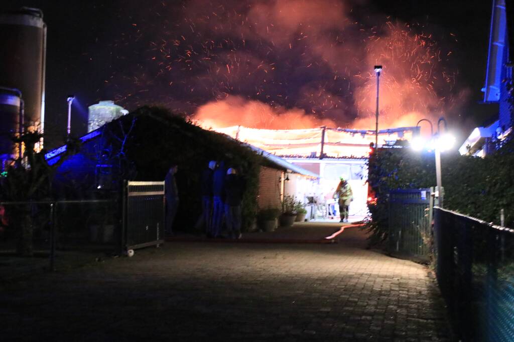 Grote brand in loods varkenshouderij