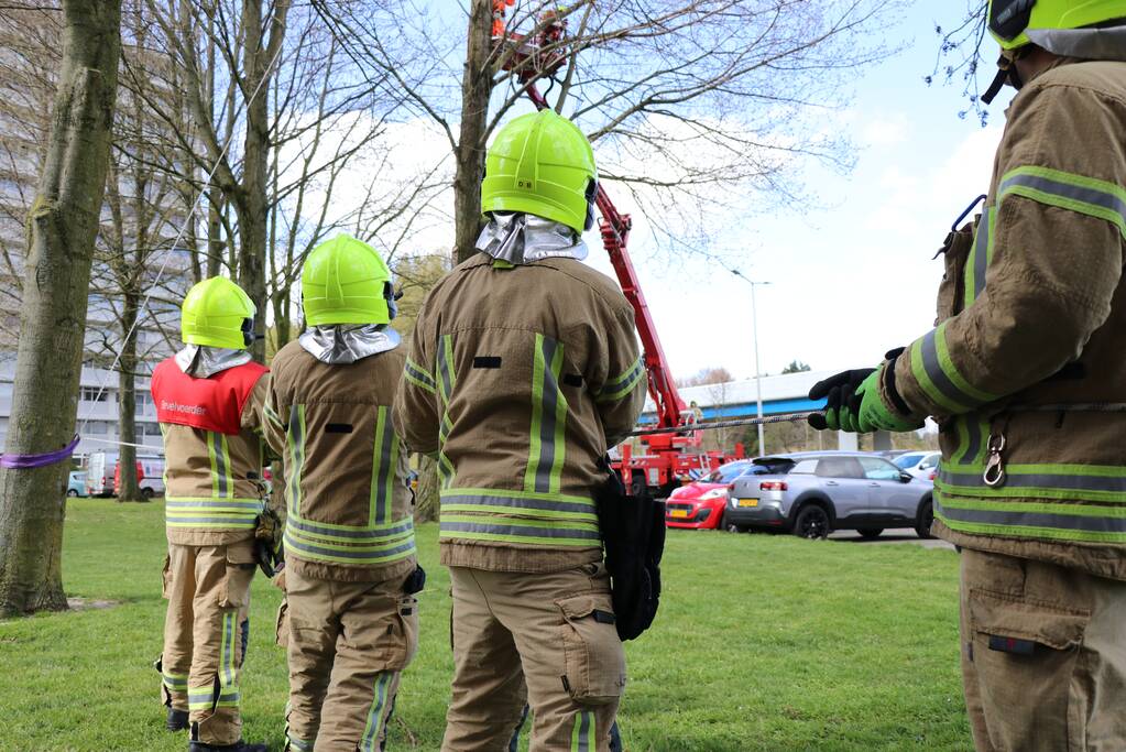 Grote tak dreigt op geparkeerde auto's te vallen
