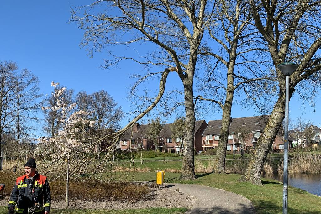 Flinke tak afgebroken door storm