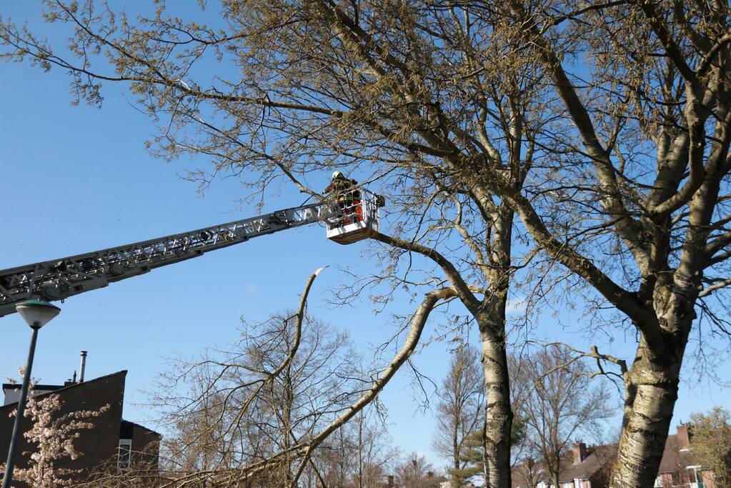 Flinke tak afgebroken door storm