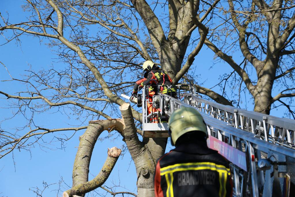 Flinke tak afgebroken door storm