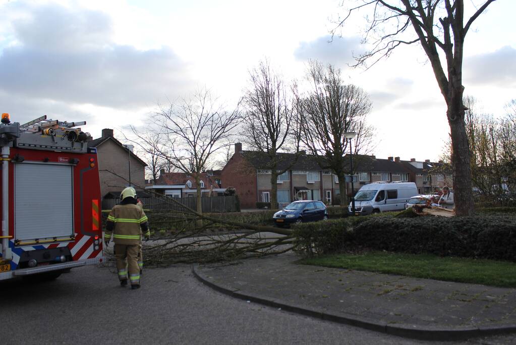 Grote tak breekt af door harde wind