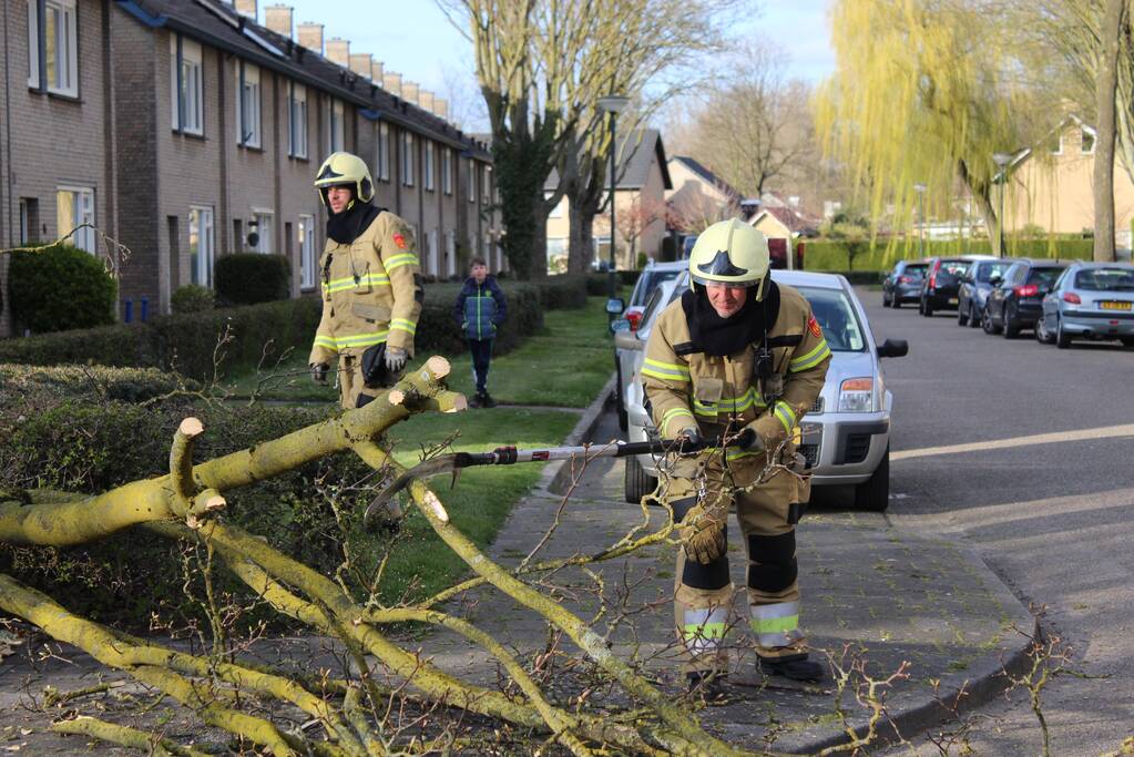 Grote tak breekt af door harde wind