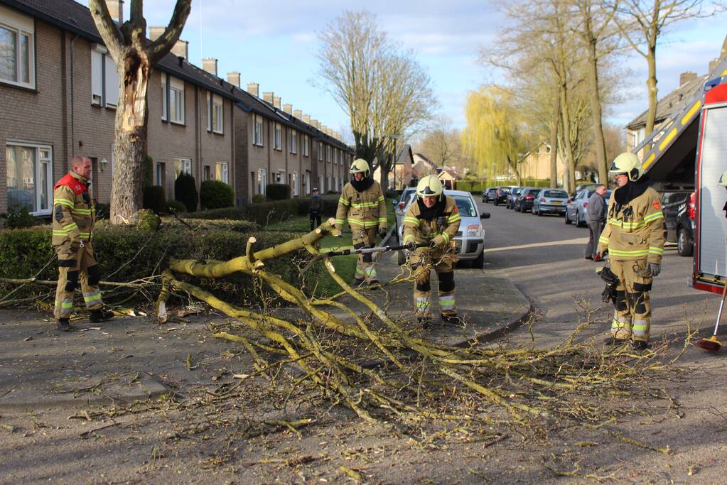 Grote tak breekt af door harde wind