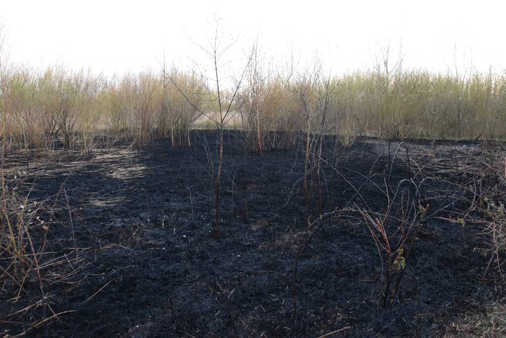 Stuk duingebied langs kust in brand